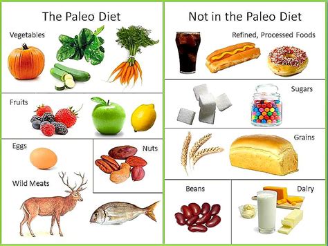 paleo dior|the paleo diet pdf.